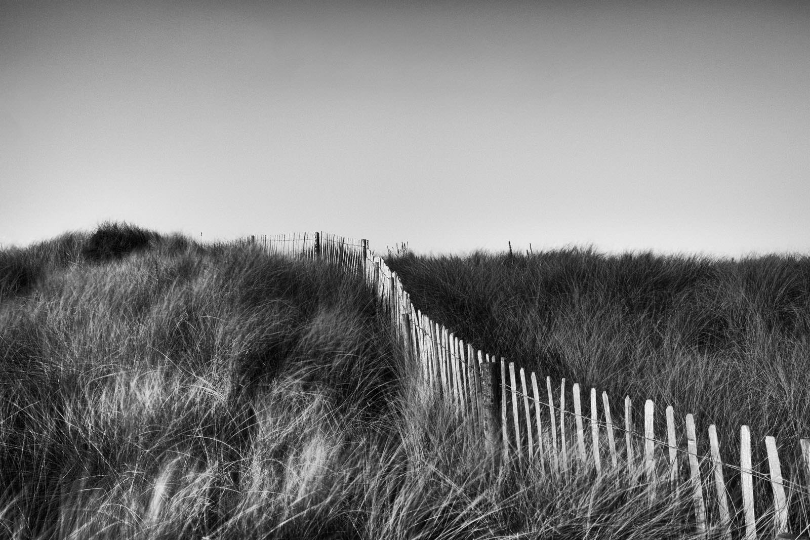 Sand Dunes at Talacre Beach